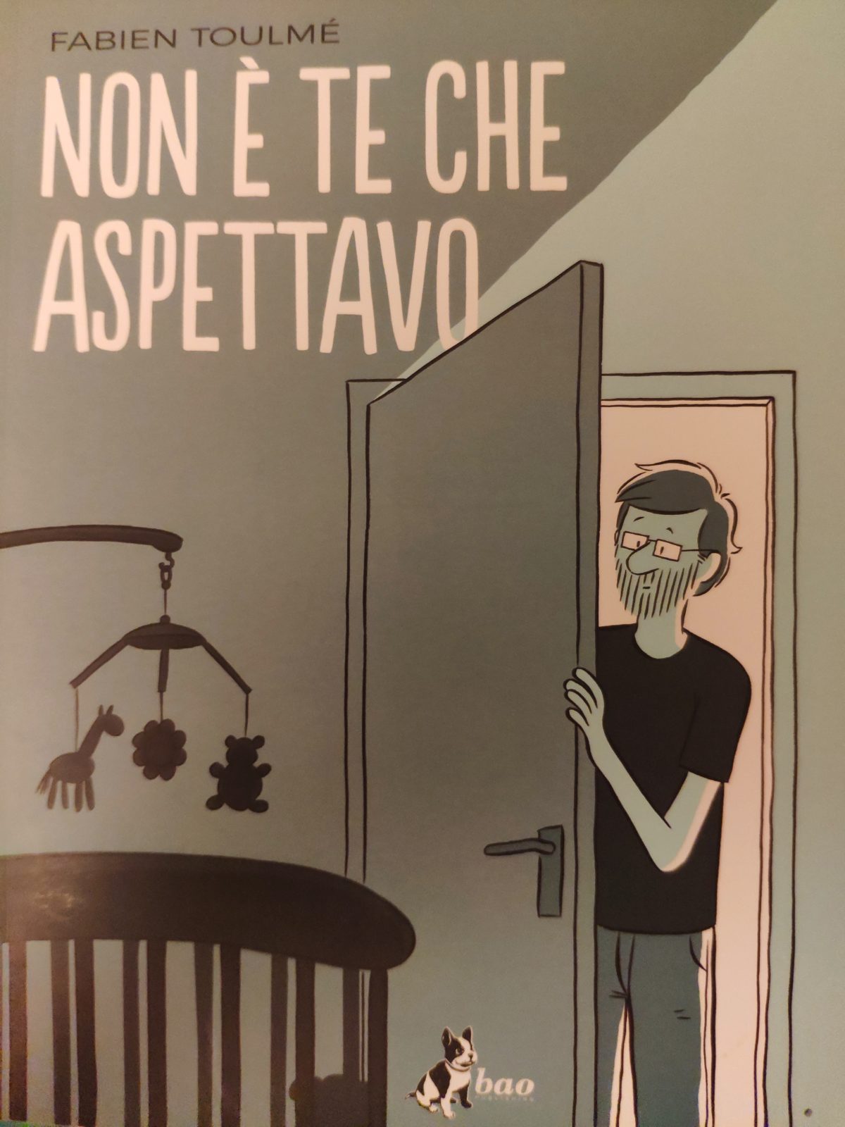 Mio caro fumetto... - Copertina di Non è te che aspettavo