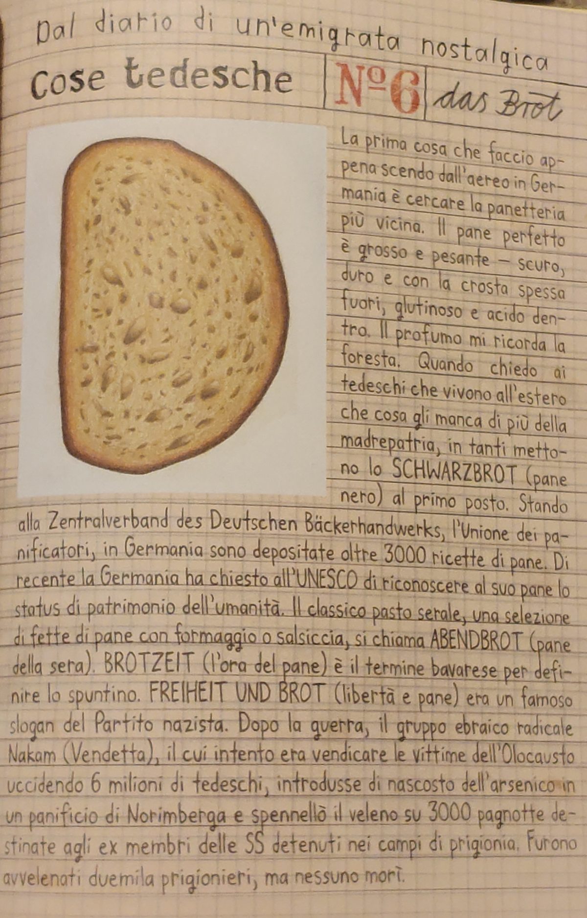 Mio Caro Fumetto - Heimat: un album di famiglia tedesco - Pagina in cui si spiega quanto sia tedesco lo schwarzbrot, il pane nero.