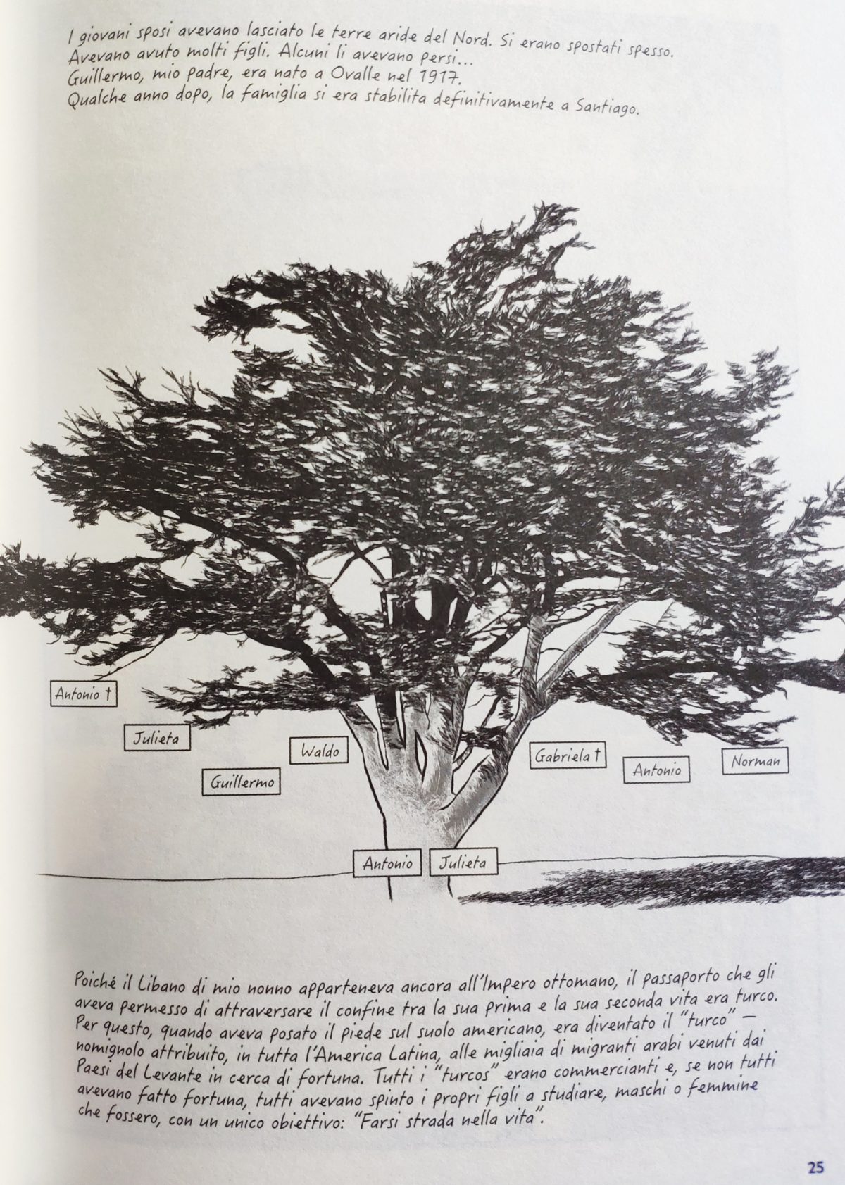 Mio caro fumetto... - Albero genealogico degli Atías a partire da Antonio e sua moglie Julieta.