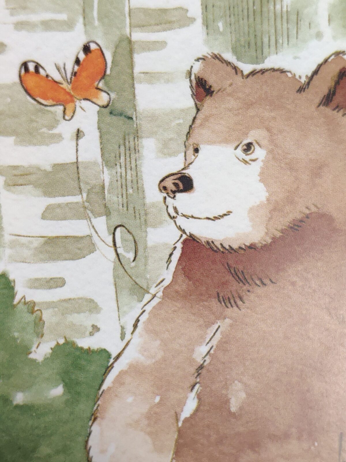 Mio caro fumetto... - L'orso che sorride giocando con la farfalla